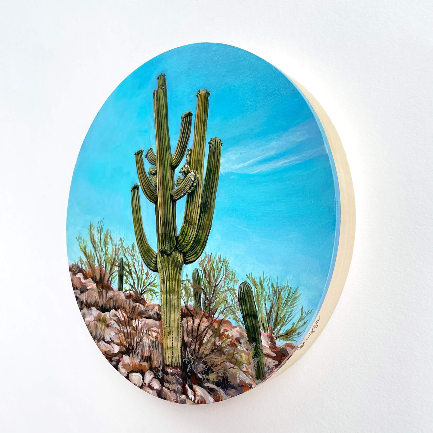 Catalina Stunner - 8" round painting