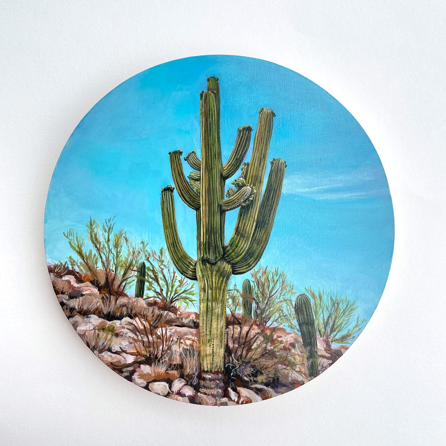 Catalina Stunner - 8" round painting