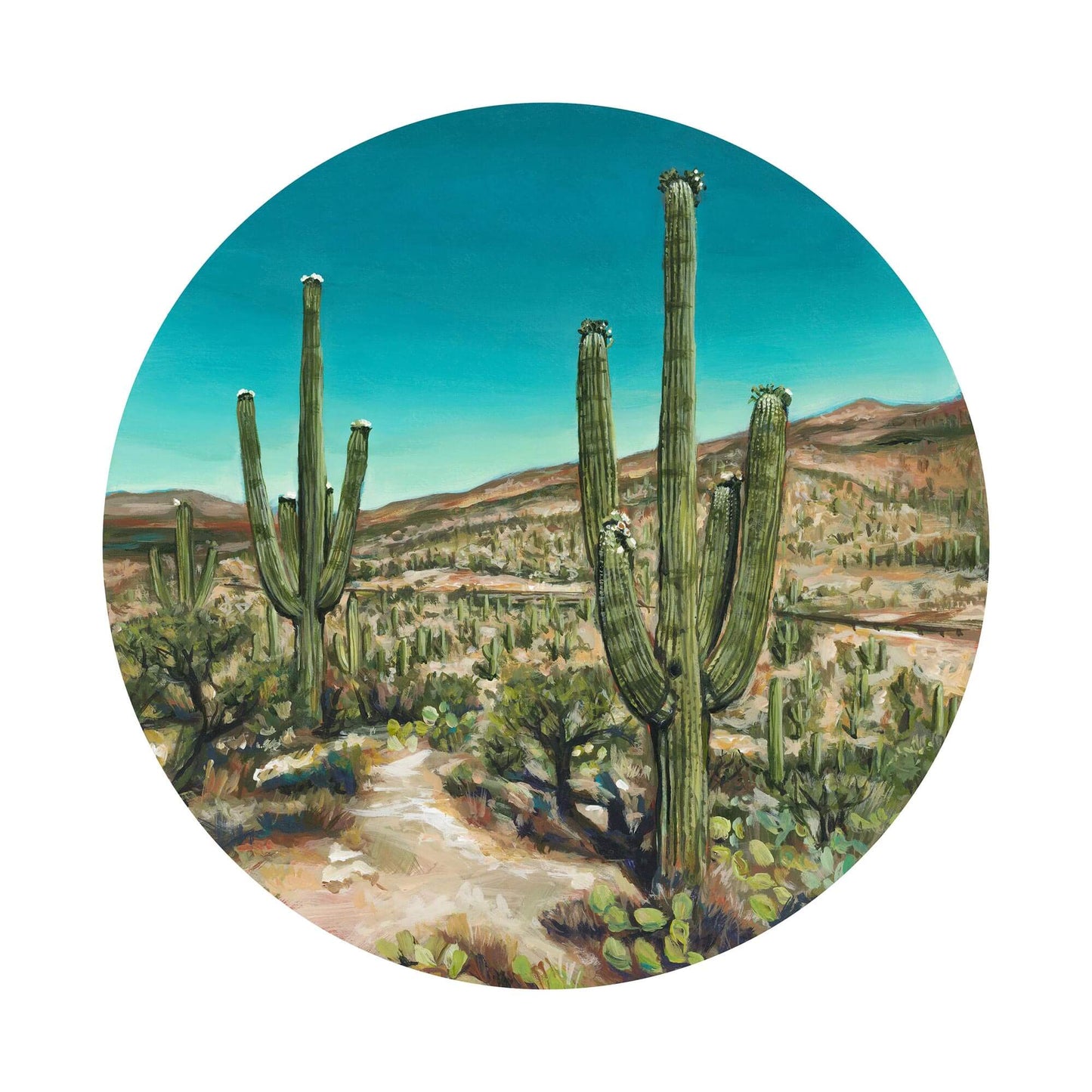 Mt. Lemmon Lookers - Print