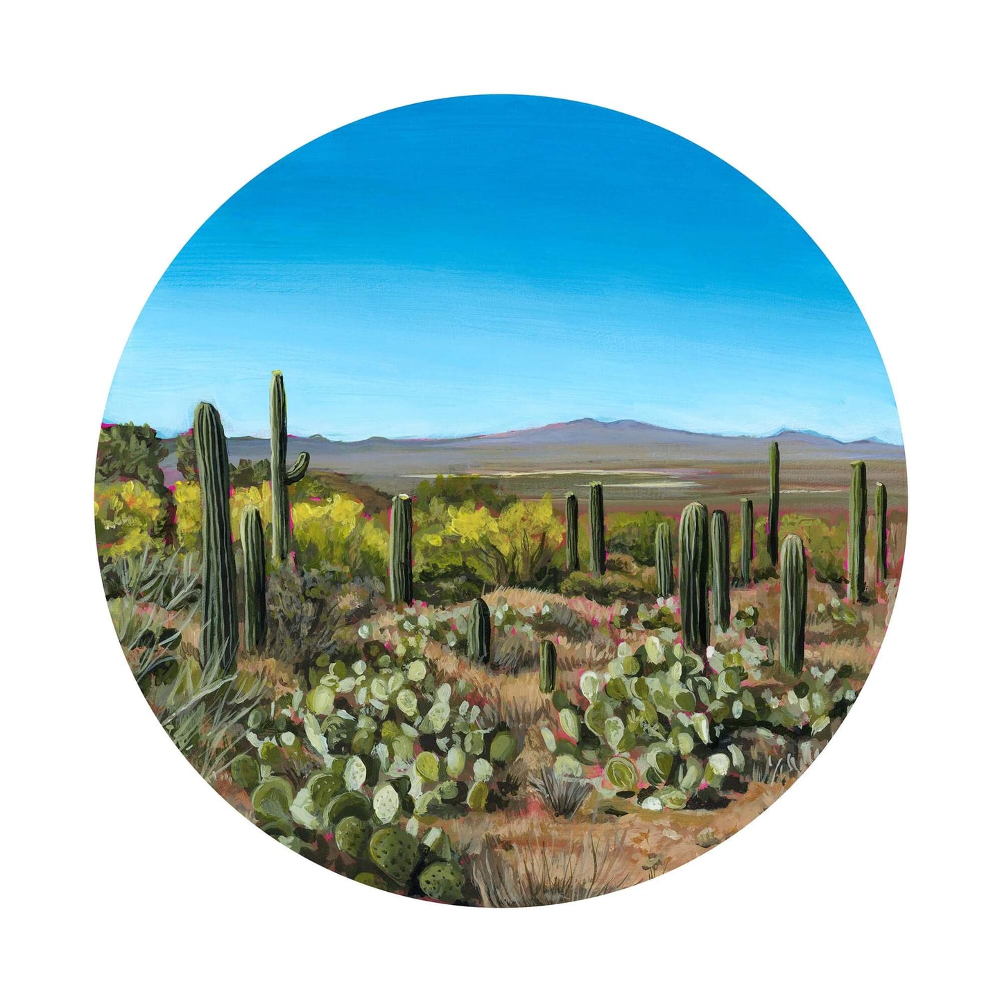 Tucson Sensations - Print