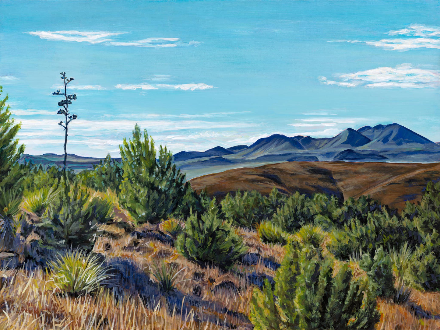 Davis Mountains - 24"x18"