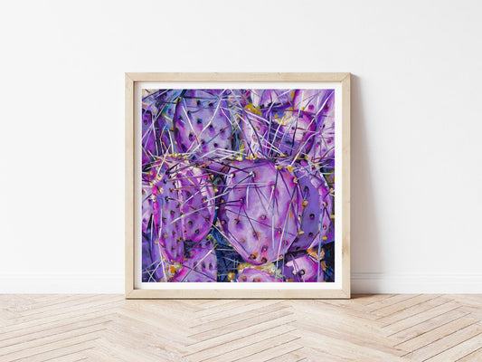 Purple Prickly Pear - Print
