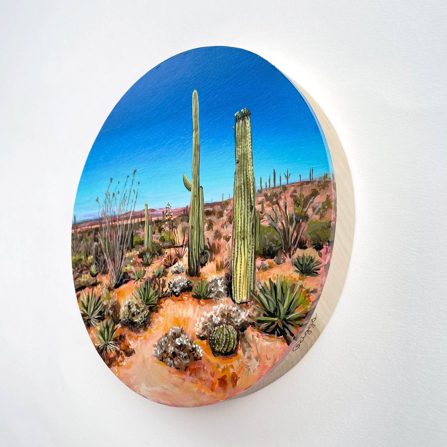 Sonoran Encore - 8" round painting