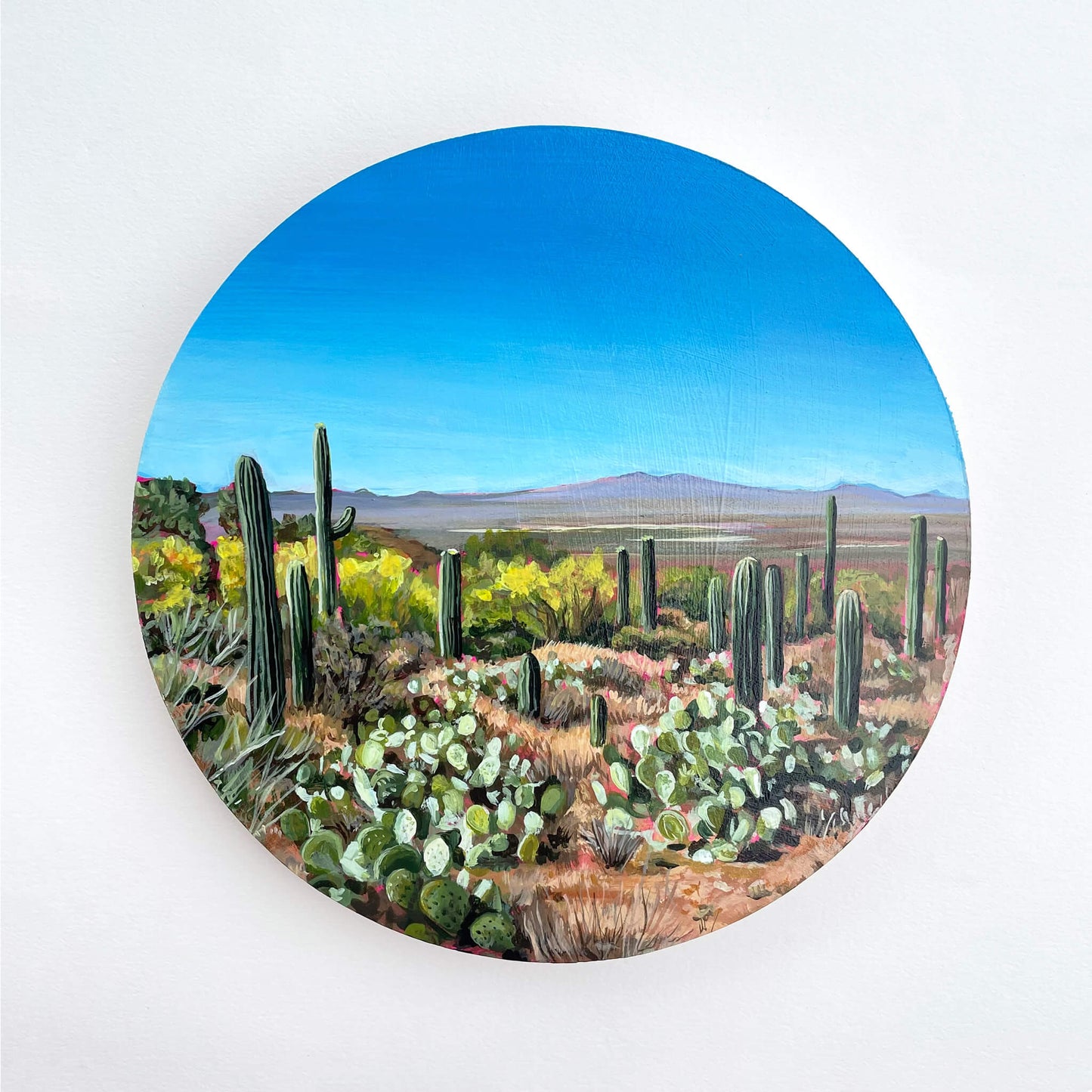 Tucson Sensations - 8" round painting